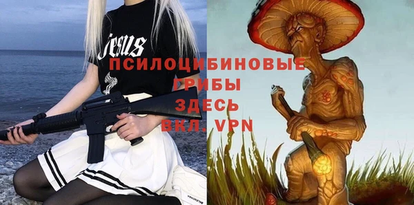 соль курить ск Алзамай